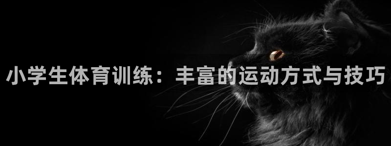 3377体育官方正版app娱乐代理怎么样:小学生体育训练:丰