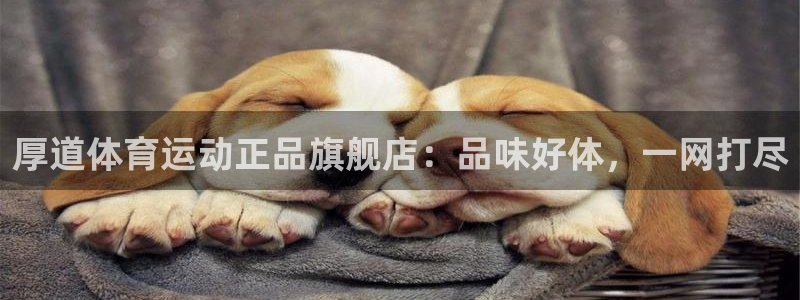 3377体育官方正版app娱乐网站:厚道体育运动正品旗舰店: