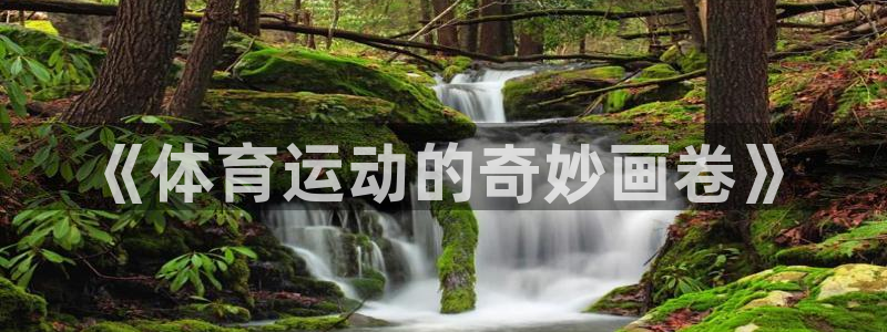 注册3377体育官方正版app:《体育运动的奇妙画卷》