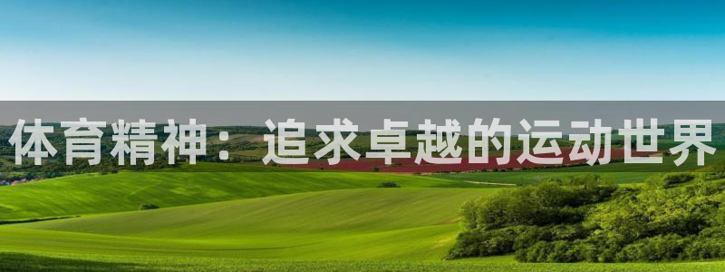 3377体育官方集团官网:体育精神:追求卓越的运动世界