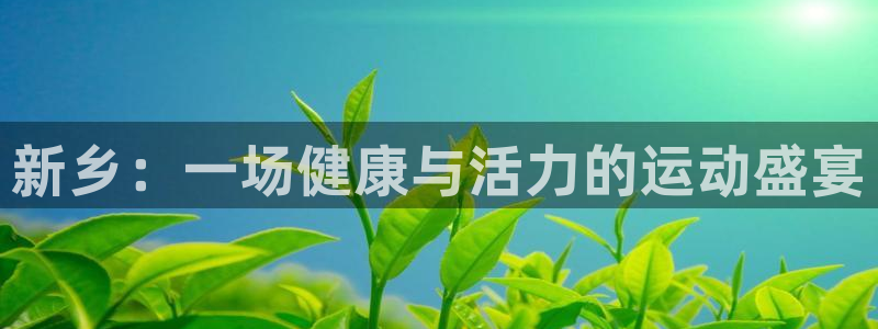 3377体育官网下载招商:新乡:一场健康与活力的运动盛宴